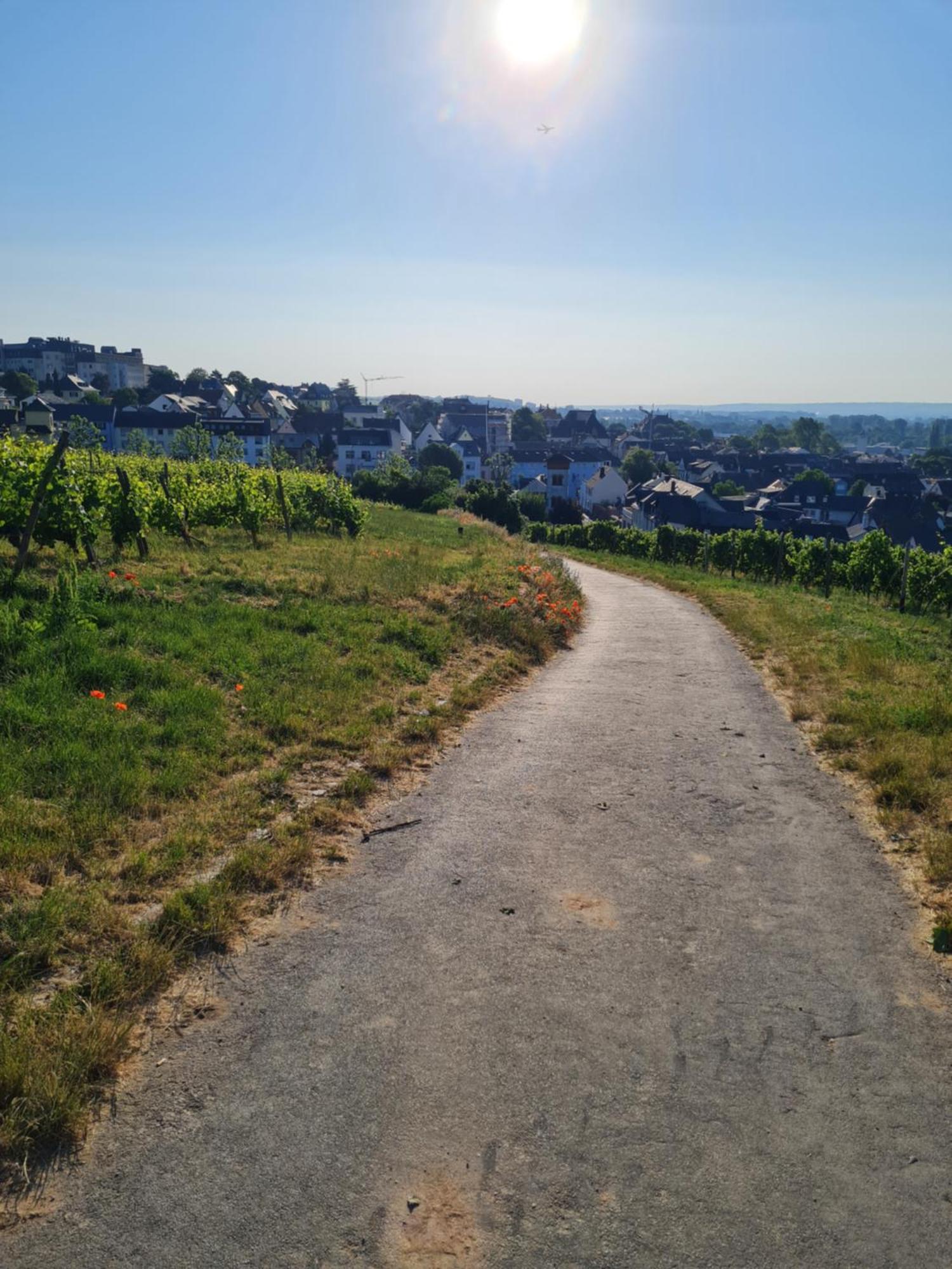 Ferienwohnungen Am Markt Rüdesheim am Rhein Eksteriør bilde