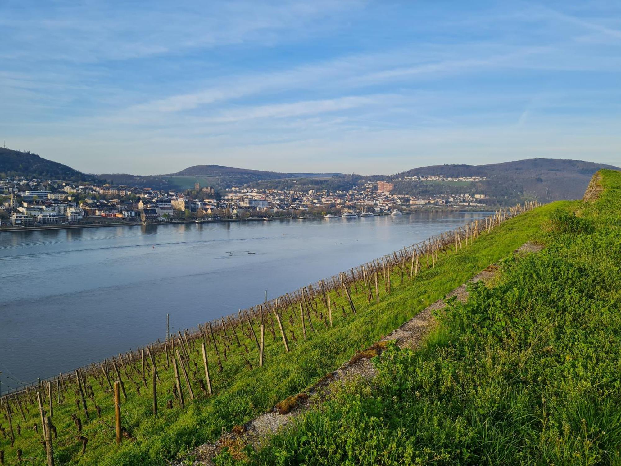 Ferienwohnungen Am Markt Rüdesheim am Rhein Eksteriør bilde